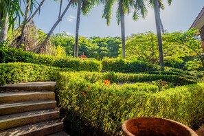 Property grounds - Bougainvillea 6203 Luxury Condo - Reserva Conchal (Cabo Velas)