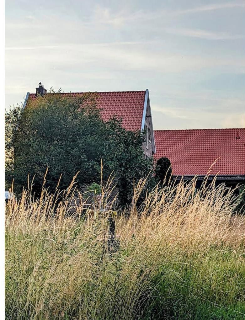 Eksteriør