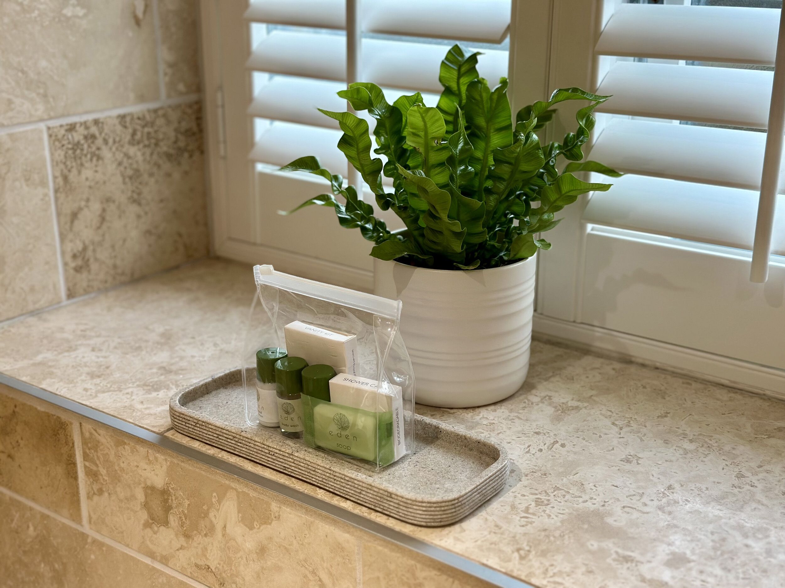 Un meuble-vasque de salle de bain avec une plante en pot, un plateau contenant du savon et du gel douche, et un porte-savon pour la douche.