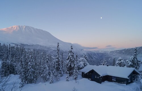 Stunning home in Rjukan with WiFi