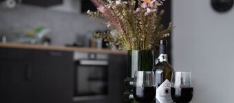 Schicke Apartments in Osnabrück