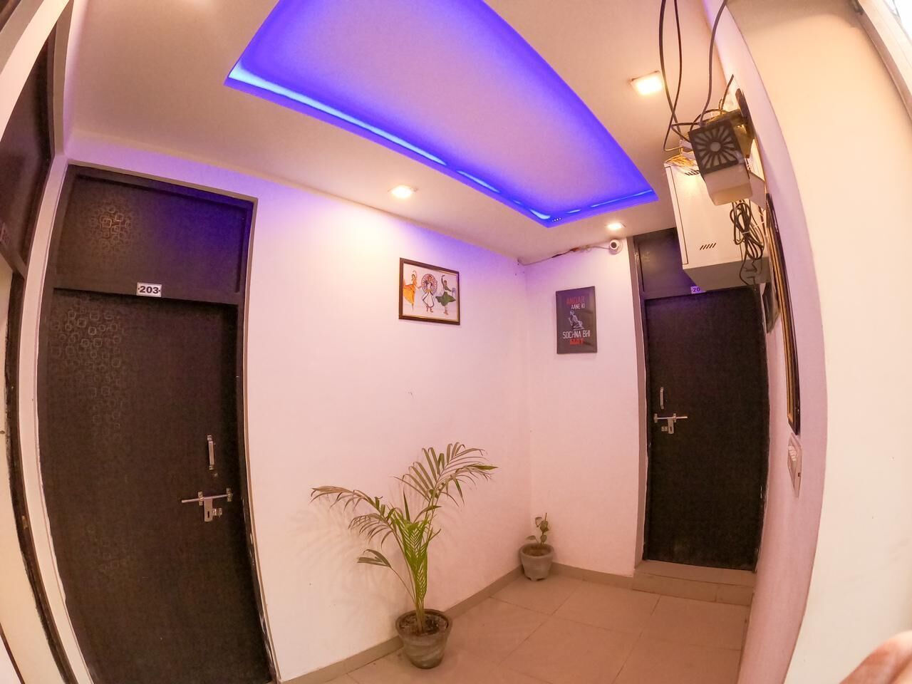 A hallway with two doors, a potted plant, and ceiling lights.
