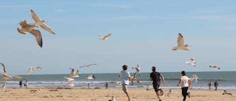 海灘