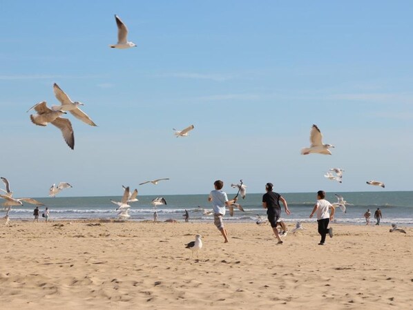 Plage