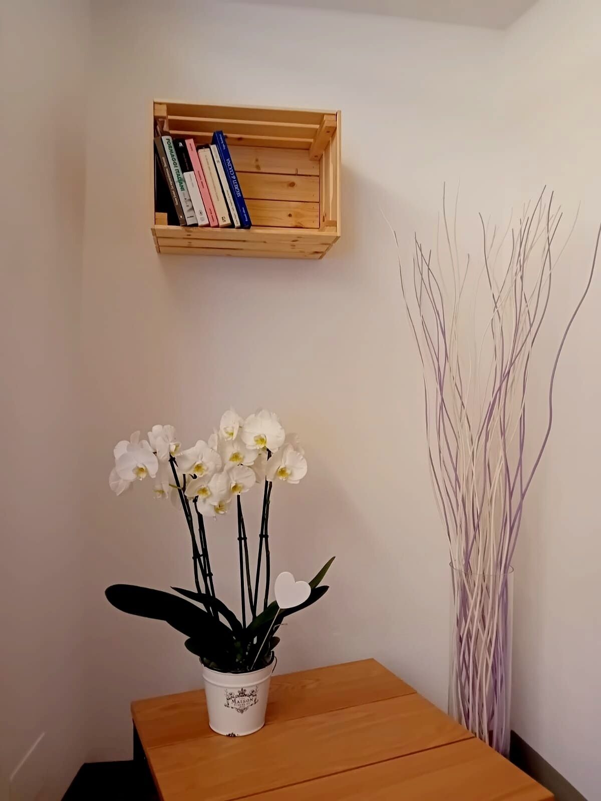 Una estantería de madera con libros, una planta de orquídea blanca en una maceta blanca, y una planta ornamental alta junto a una mesa de madera.