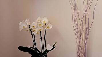 Una estantería de madera con libros, una planta de orquídea blanca en una maceta blanca, y una planta ornamental alta junto a una mesa de madera.