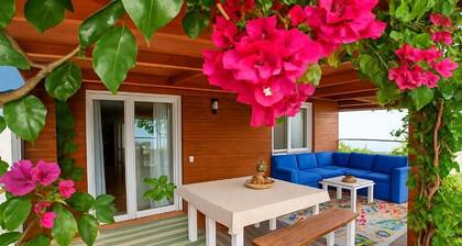 Fantastic Villa with Large Wooden Porch and Independent Outdoor Kitchen