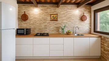 Frigorífico, microondas, horno y placa de cocina