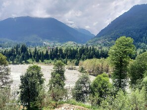 Property grounds - Private Room in Manali, Mountain and River view Near Manali-4 (Bashisht)