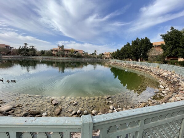 Property grounds - Luxury Residence within Palmeraie Village. (Marrakesh)