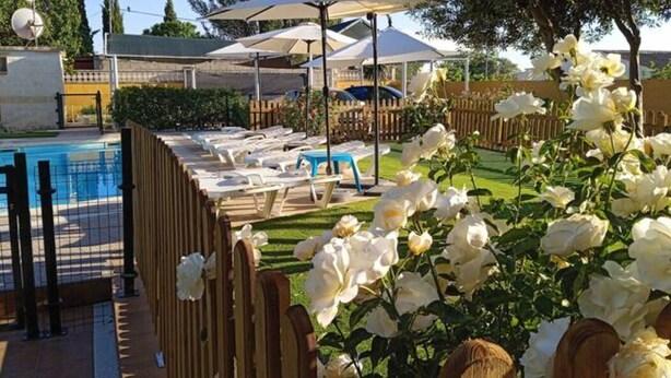 Een zwembadgedeelte met ligbedden en parasols, omgeven door een houten hek en witte bloemen.
