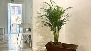A hallway with a potted plant, a white chair, and a door leading to an outdoor area. - THE CEMENT TILES (Catania)