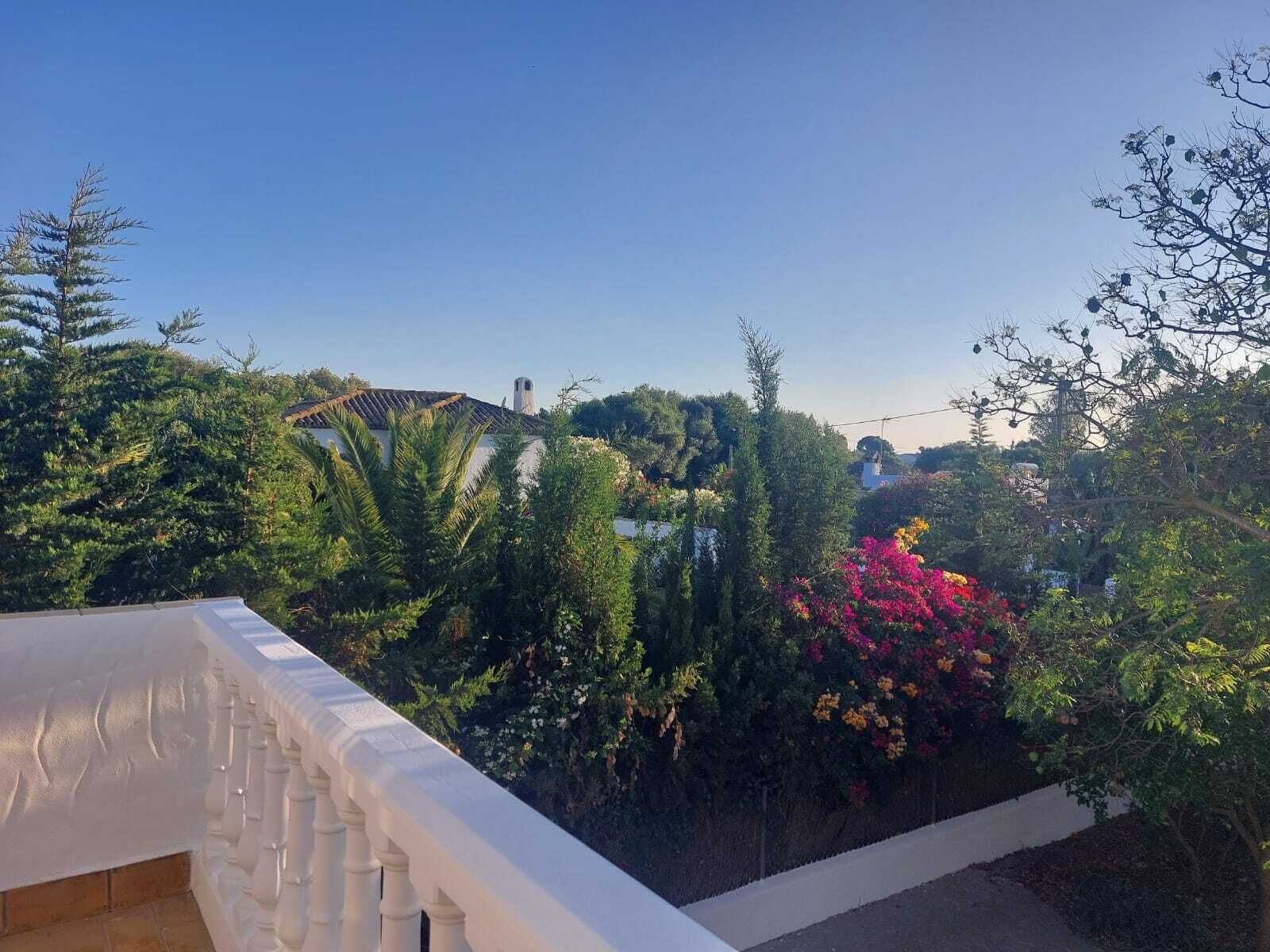 A balcony with a white balustrade overlooking a garden with various plants and a distant view of a building.