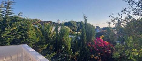 A balcony with a white balustrade overlooking a garden with various plants and a distant view of a building.