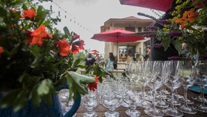 A table with empty wine glasses and potted plants with red flowers. - Lost Ridge Inn & Brewery & Ranch (Sighnaghi)