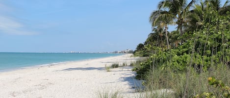 Perto da praia
