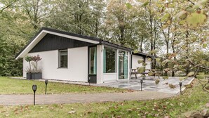Une maison moderne avec un toit en pente, de grandes fenêtres et une terrasse dallée.