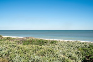 On the beach - Gorgeous Oceanfront Corner Condo 535 In Cinnamon Beach! (Palm Coast)