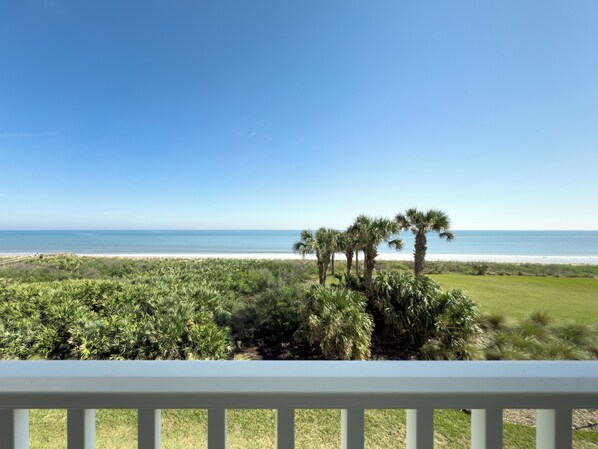 A view of a beach with palm trees and a clear sky.