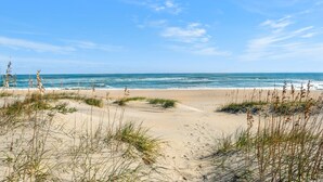 A beach with sand dunes and sparse vegetation.