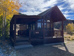 Exterior - Cozy "Tiny Home" style Cabin Perfect for Couples and Families (Almont)