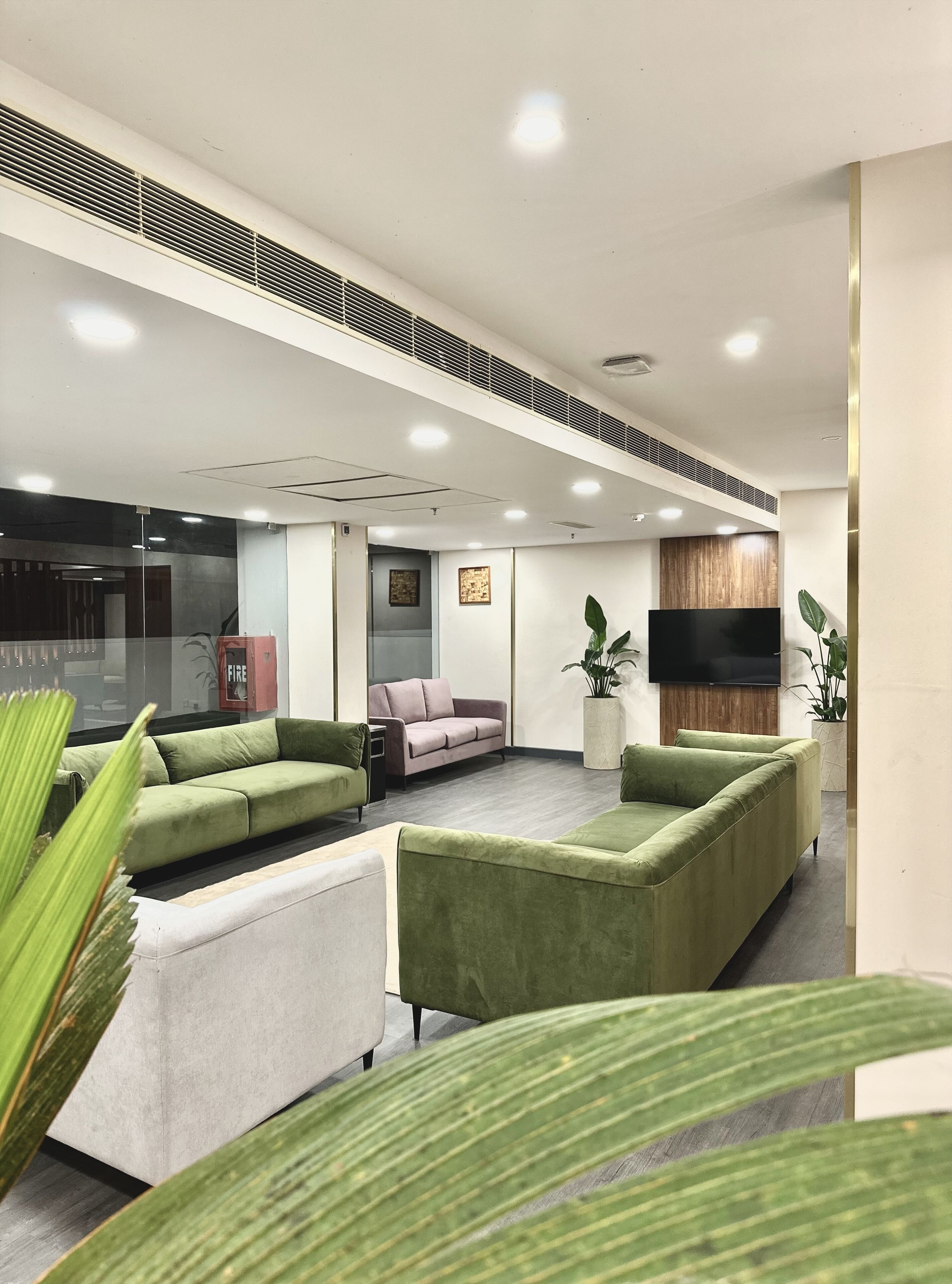 Un espace d’attente moderne avec des canapés verts, un téléviseur à écran plat et des plantes en pot.