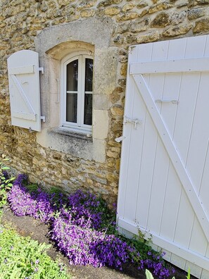 Detalle del exterior