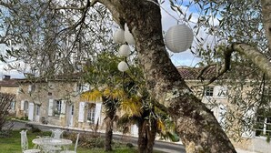 A stone building with a garden, outdoor seating, and hanging paper lanterns. - Cottage 'La Cassine' with Shared Terrace, Shared Garden and Wi-Fi (Taillant)