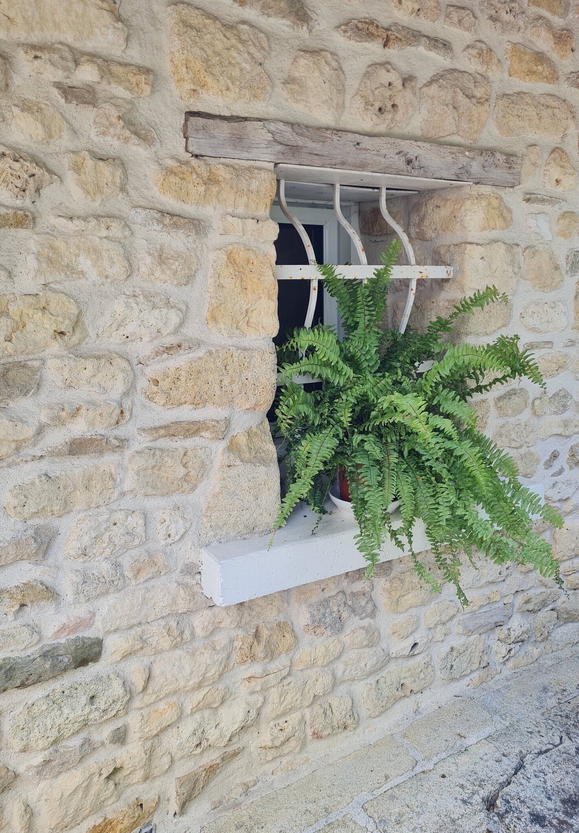 A stone wall with a window and a potted fern.