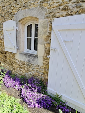 Detalle del exterior