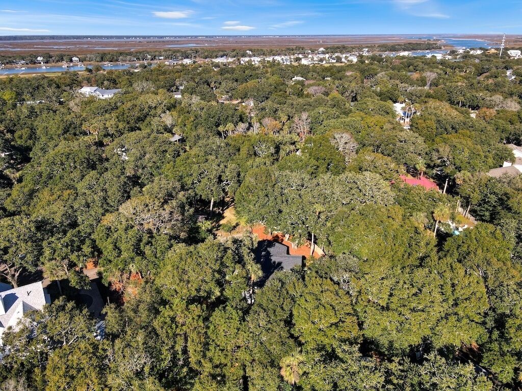 Vista aérea de una zona residencial con densa vegetación, casas dispersas y un cuerpo de agua visible en el fondo.