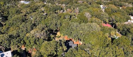 Vista aérea de una zona residencial con densa vegetación, casas dispersas y un cuerpo de agua visible en el fondo.
