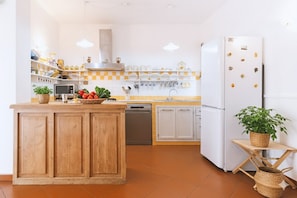 Basic Villa | Private kitchen | Full-sized fridge, microwave, oven, stovetop - Villa Ponzio (Dolcedo)