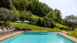 Una piscina rectangular con agua azul cristalina, rodeada de sillas de descanso y sombrillas, con abundante vegetación y árboles al fondo.