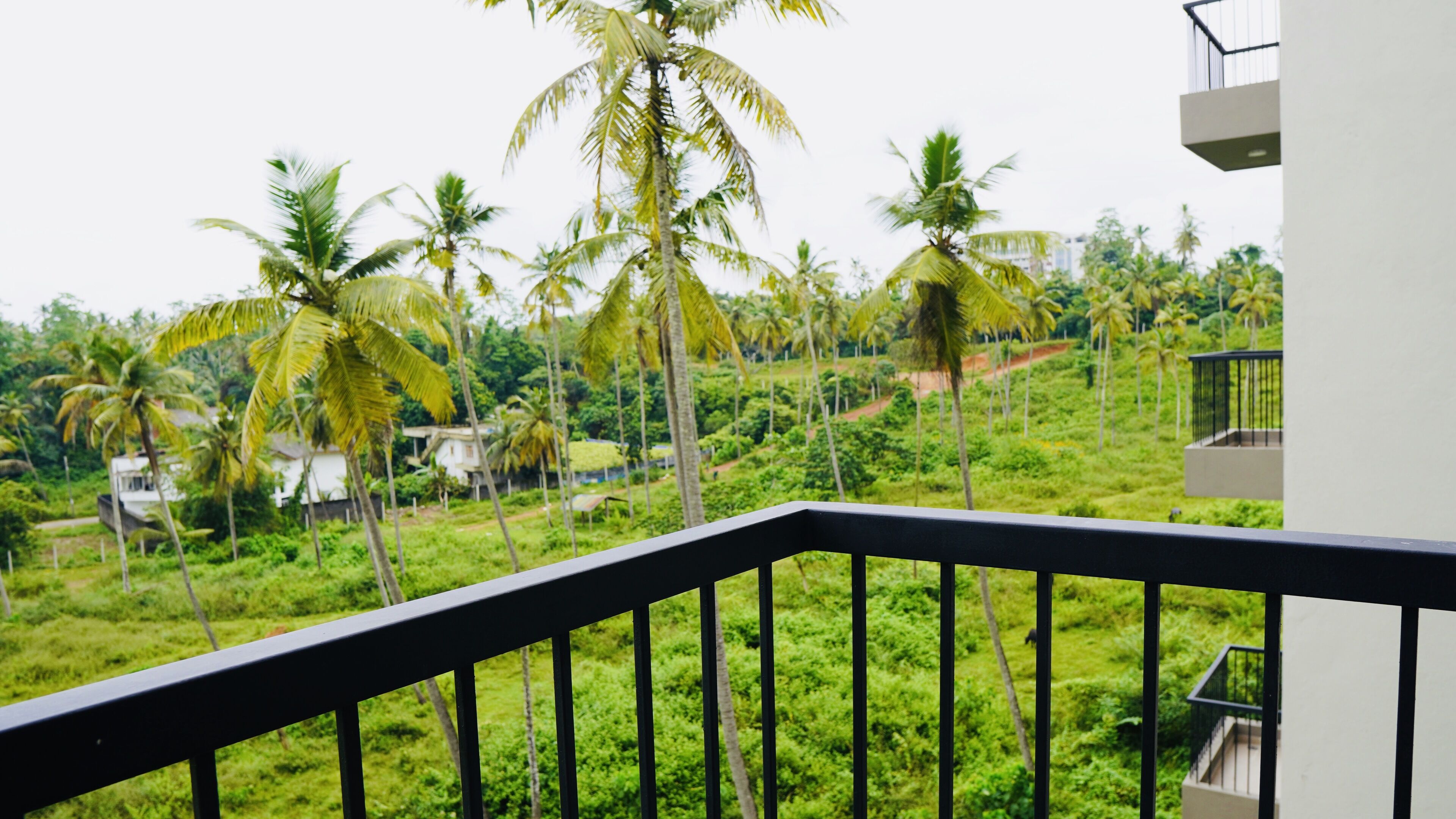 A balcony with a view of a lush green landscape with palm trees and a white building in the background.