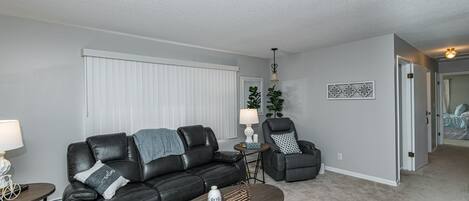 智能電視、壁爐、書籍