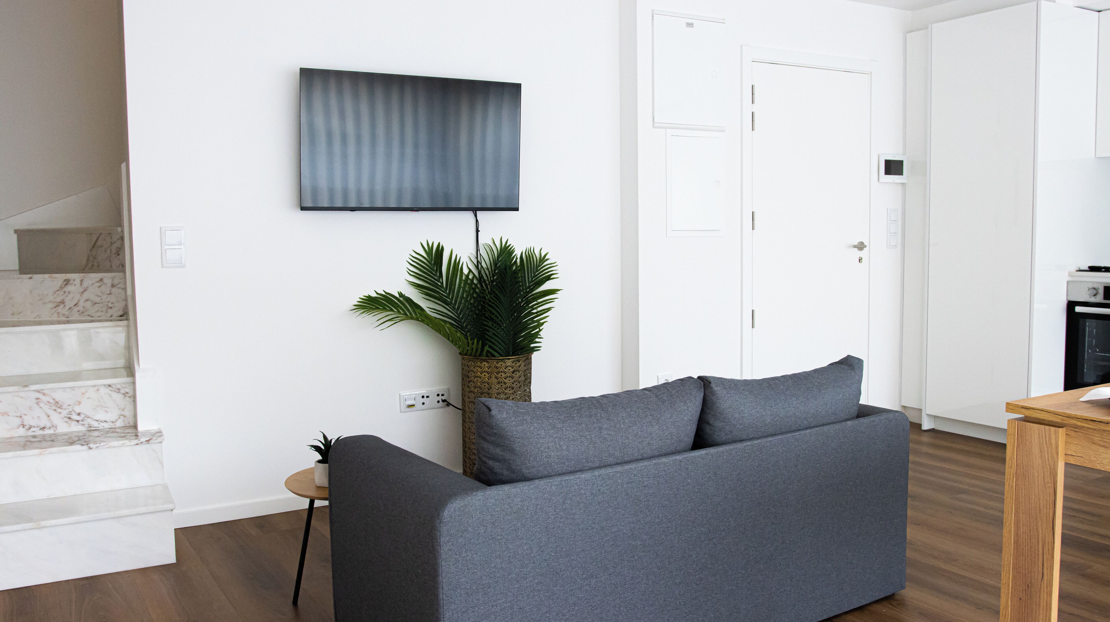 A modern living room with a grey sofa, a potted plant, and a flat-screen TV mounted on the wall.