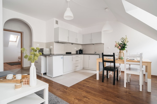 Classic Apartment | Private kitchenette | Fridge, microwave, stovetop, cookware/dishes/utensils