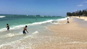 Ein Strand mit badenden und spielenden Menschen, ein sandiger Uferstreifen und Bäume im Hintergrund.