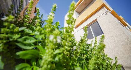 Sand House 2 Bedrooms Apartment