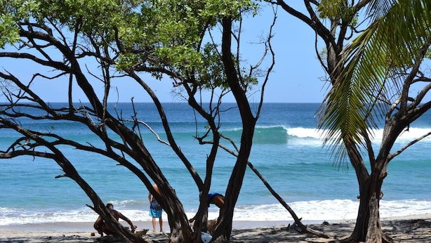 Strand