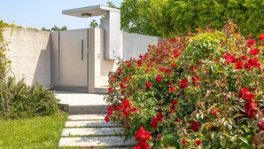 Un edificio moderno con facciata in cemento, un ingresso protetto da cancello e un vialetto che conduce al cancello.