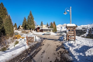 Uma estrada coberta de neve que leva a um edifício com uma placa indicando 'Cottages Patacross'.