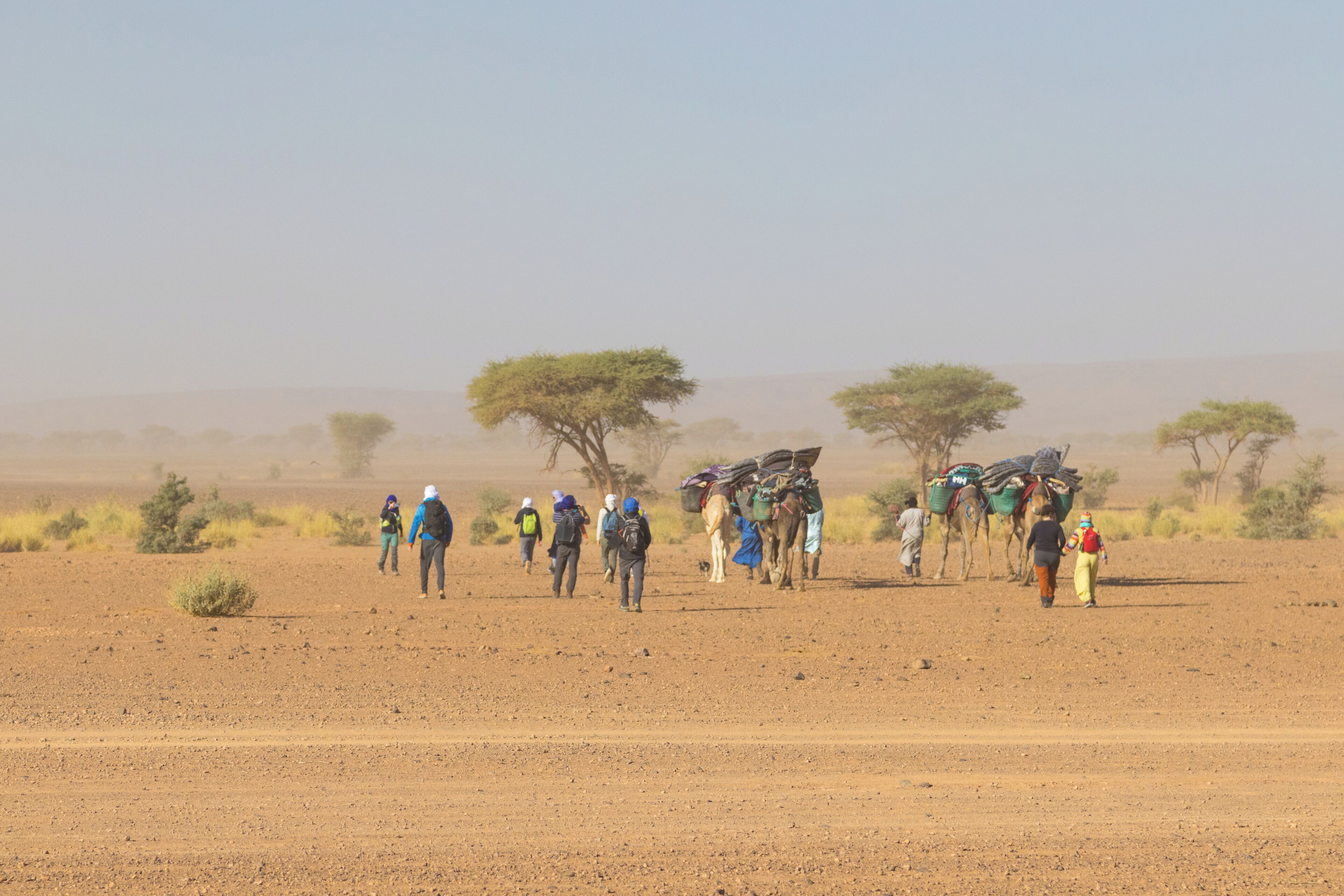 Eine Gruppe von Menschen geht durch eine karge Landschaft mit vereinzelter Vegetation und einigen Bäumen.