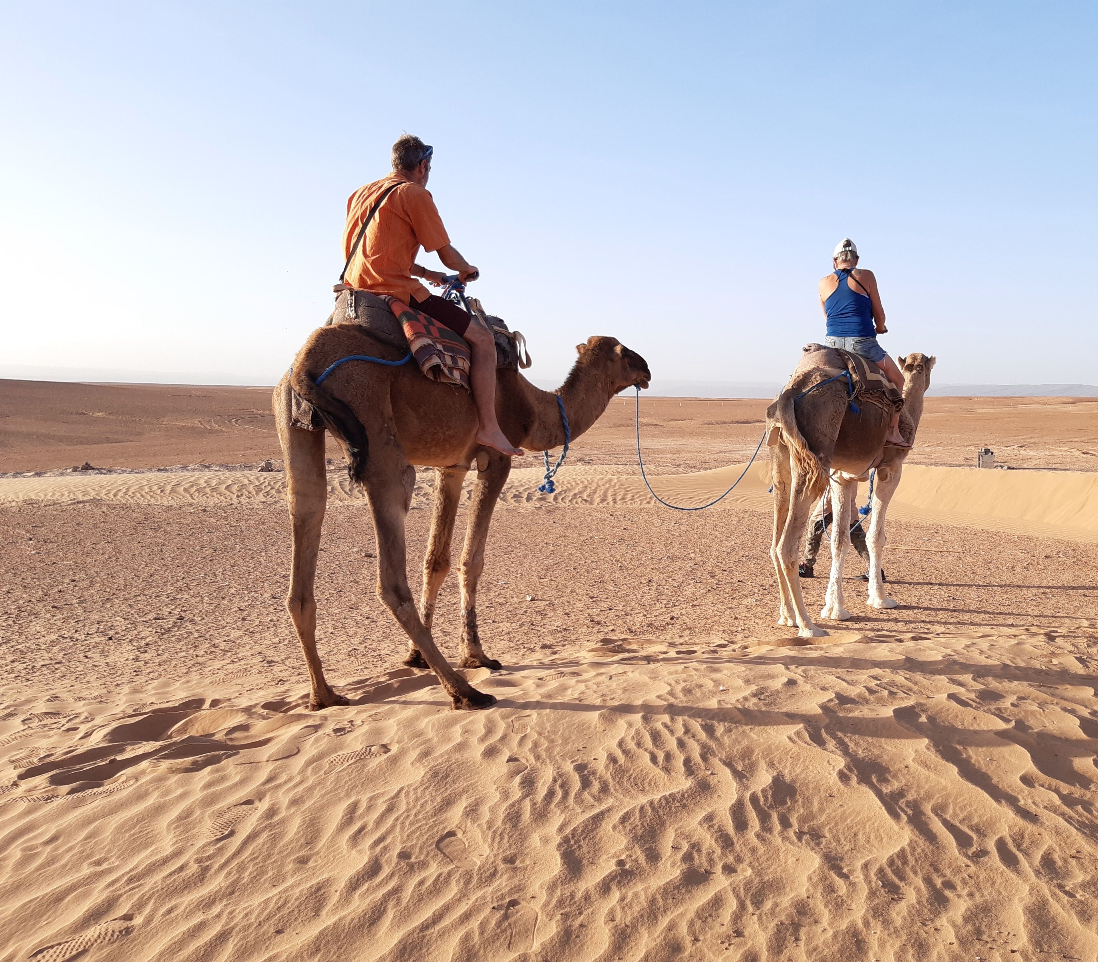 Two camels with riders in a desert landscape.