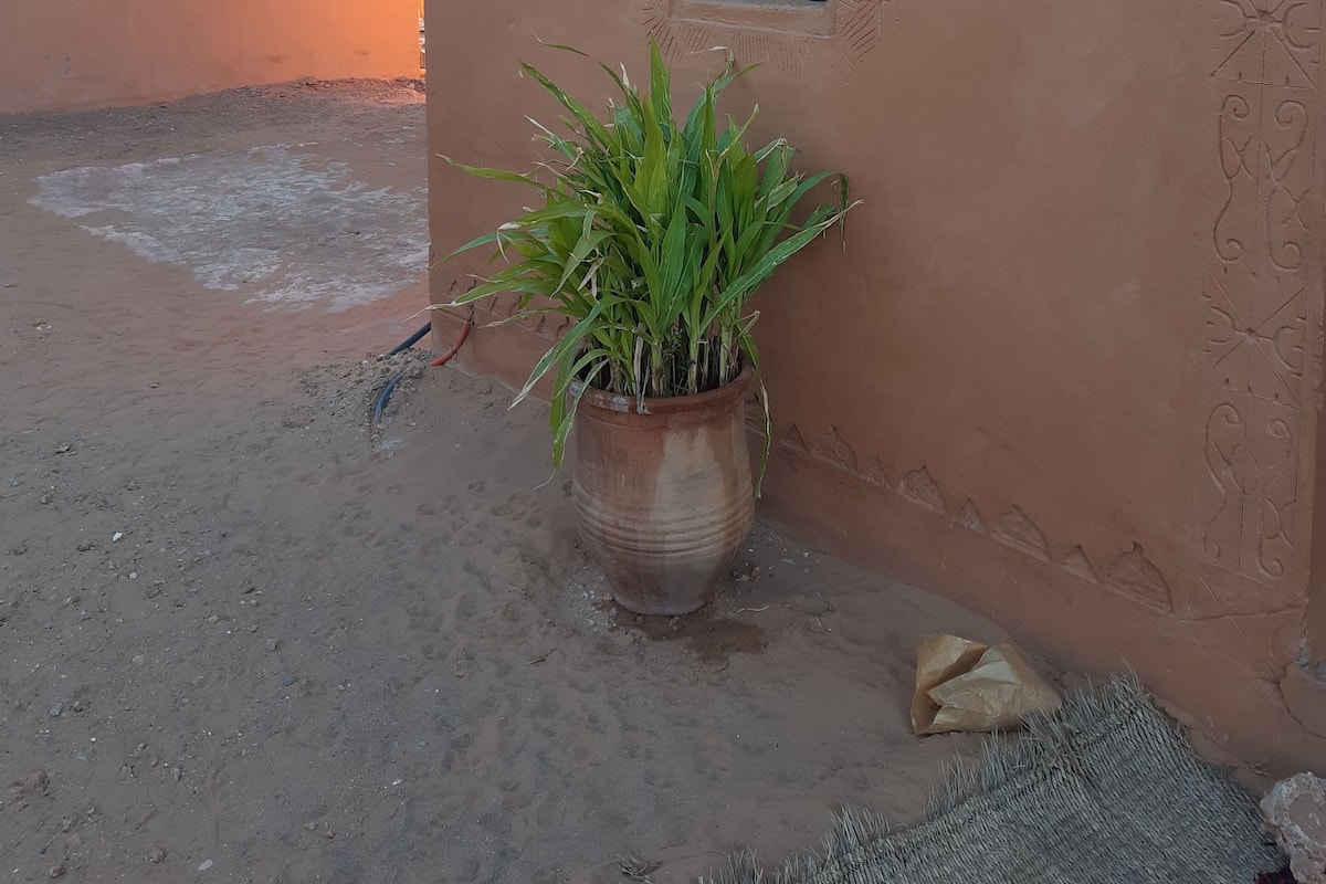 Une plante en pot, placée à côté d’un bâtiment doté d’une petite fenêtre et de motifs décoratifs sur les murs.