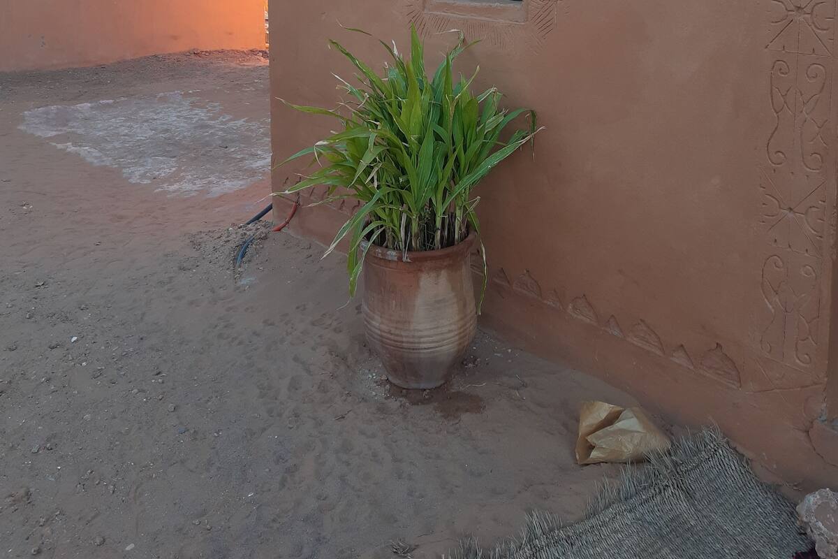 Tremannsrom | Sengetøy