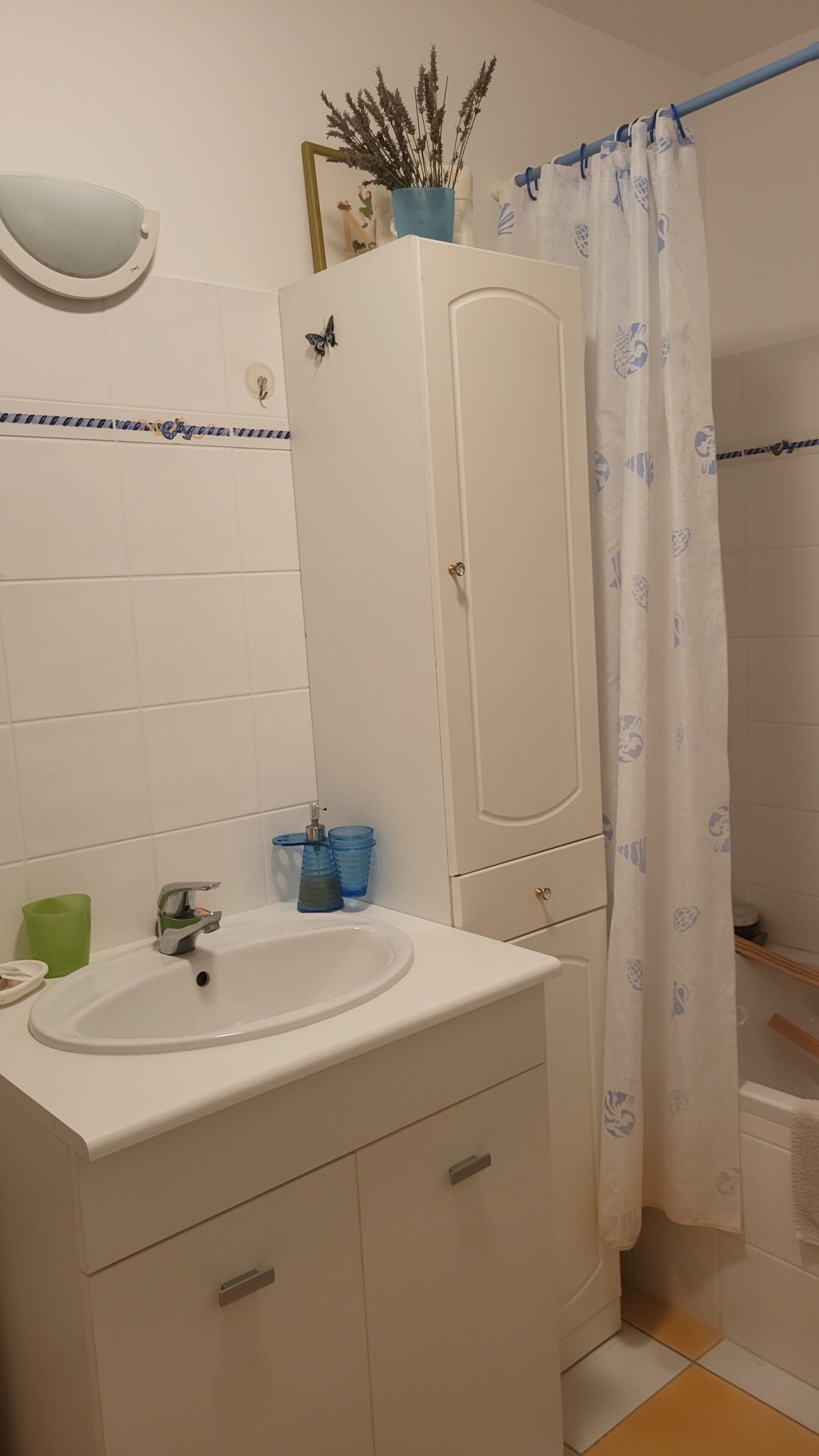 Douche, sèche-cheveux