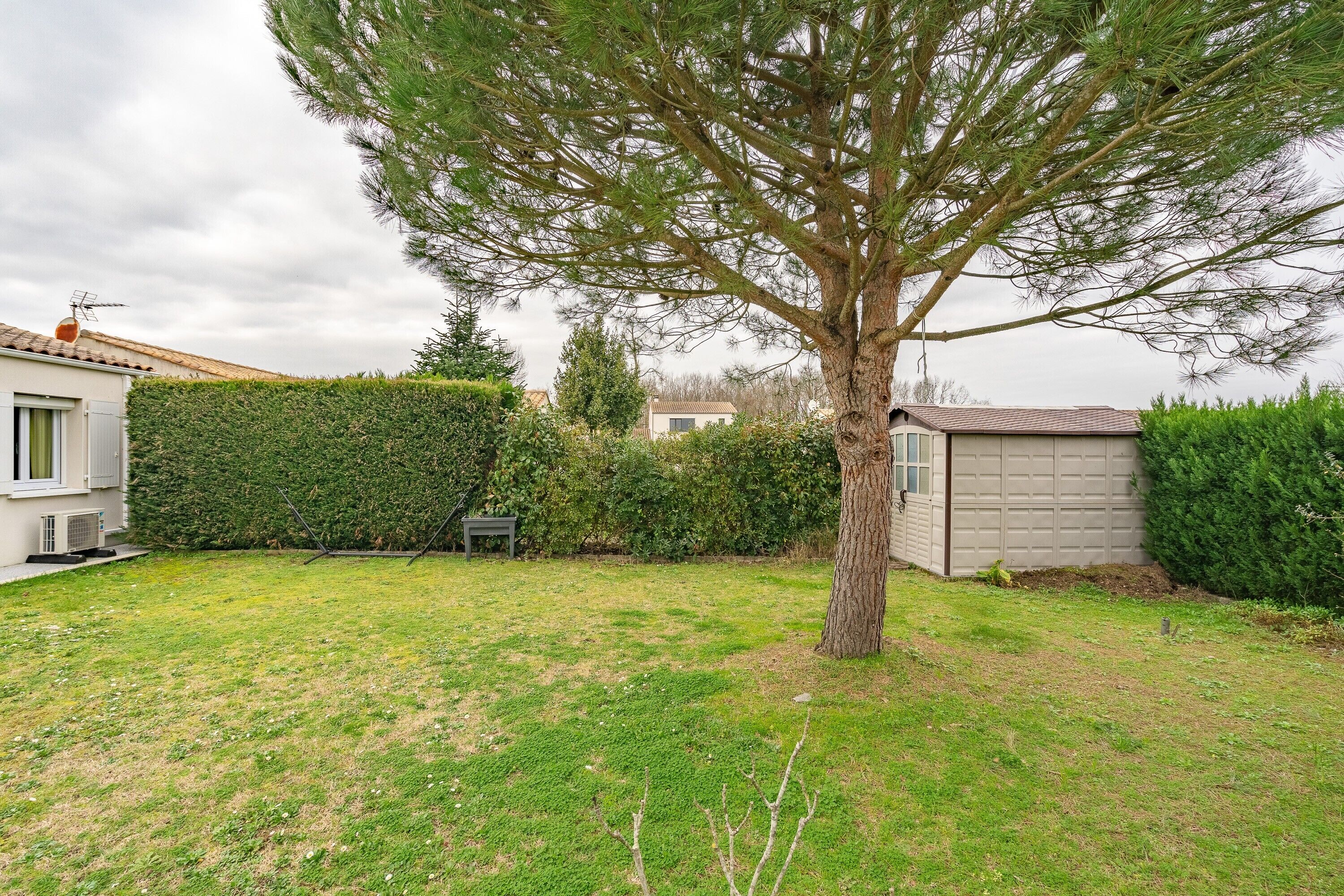 A residential property with a well-maintained lawn, a large tree, a shed, and a house with a tiled roof.