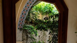 Ein schmiedeeisernes Fenster mit Blick auf eine Steinmauer, einen Blumentopf und einen kleinen Pool.